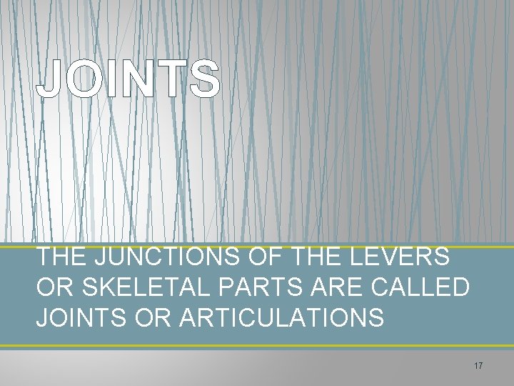 JOINTS THE JUNCTIONS OF THE LEVERS OR SKELETAL PARTS ARE CALLED JOINTS OR ARTICULATIONS