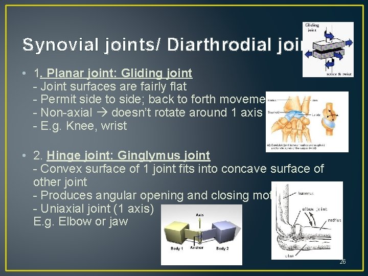 Synovial joints/ Diarthrodial joints: • 1. Planar joint: Gliding joint - Joint surfaces are