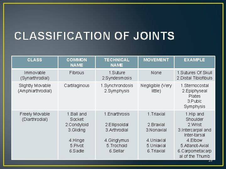 CLASSIFICATION OF JOINTS CLASS COMMON NAME TECHNICAL NAME MOVEMENT EXAMPLE Immovable (Synarthrodial) Fibrous 1.