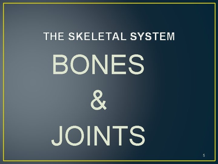 THE SKELETAL SYSTEM BONES & JOINTS 5 