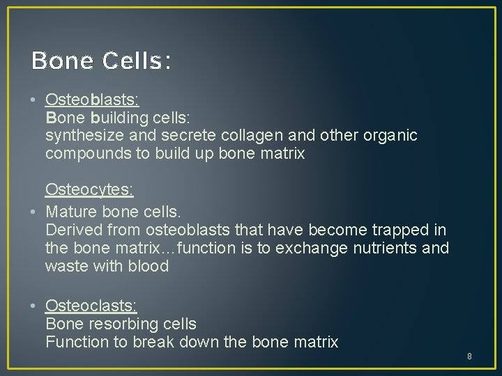 Bone Cells: • Osteoblasts: Bone building cells: synthesize and secrete collagen and other organic