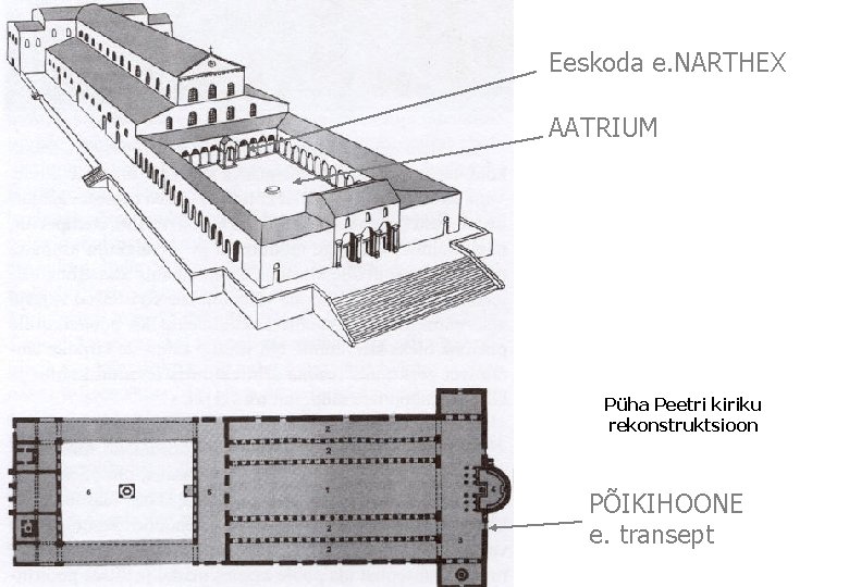Eeskoda e. NARTHEX AATRIUM Püha Peetri kiriku rekonstruktsioon PÕIKIHOONE e. transept 