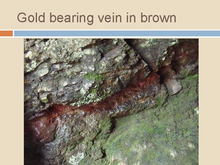 Gold bearing vein in brown 