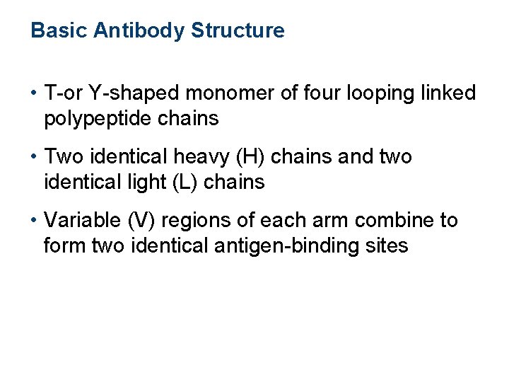 Basic Antibody Structure • T-or Y-shaped monomer of four looping linked polypeptide chains • Basic Antibody Structure • T-or Y-shaped monomer of four looping linked polypeptide chains •