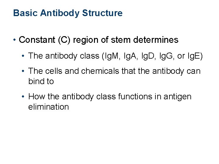 Basic Antibody Structure • Constant (C) region of stem determines • The antibody class Basic Antibody Structure • Constant (C) region of stem determines • The antibody class