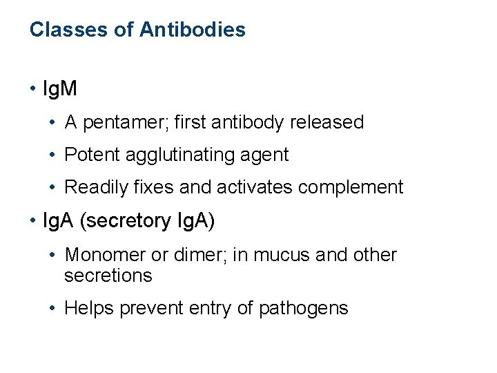 Classes of Antibodies • Ig. M • A pentamer; first antibody released • Potent Classes of Antibodies • Ig. M • A pentamer; first antibody released • Potent