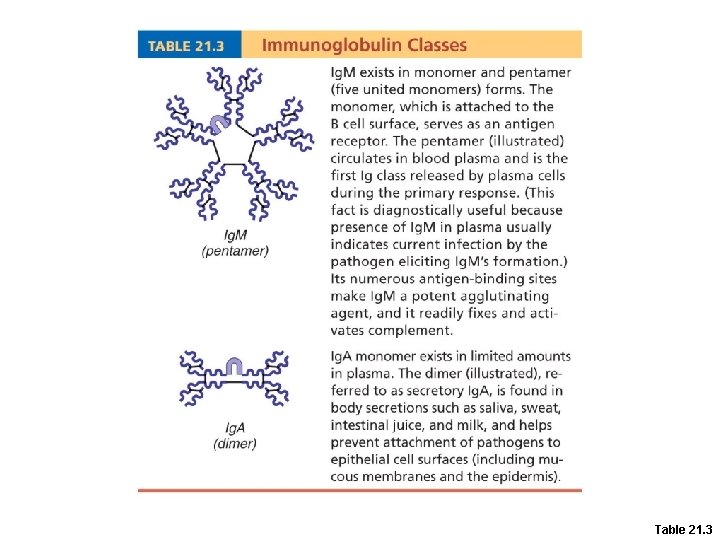 Table 21. 3 Table 21. 3