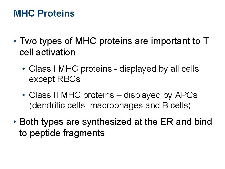 MHC Proteins • Two types of MHC proteins are important to T cell activation MHC Proteins • Two types of MHC proteins are important to T cell activation
