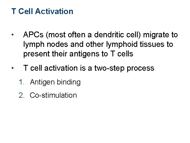 T Cell Activation • APCs (most often a dendritic cell) migrate to lymph nodes T Cell Activation • APCs (most often a dendritic cell) migrate to lymph nodes