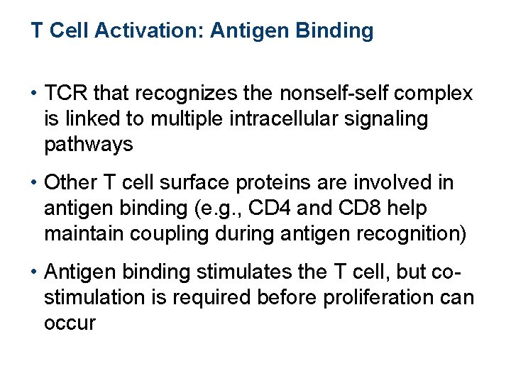 T Cell Activation: Antigen Binding • TCR that recognizes the nonself-self complex is linked T Cell Activation: Antigen Binding • TCR that recognizes the nonself-self complex is linked