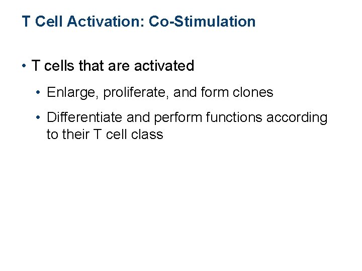 T Cell Activation: Co-Stimulation • T cells that are activated • Enlarge, proliferate, and T Cell Activation: Co-Stimulation • T cells that are activated • Enlarge, proliferate, and
