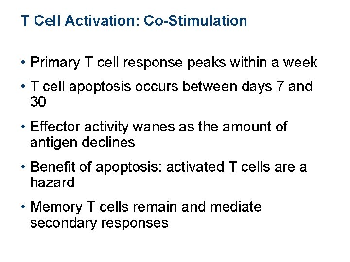 T Cell Activation: Co-Stimulation • Primary T cell response peaks within a week • T Cell Activation: Co-Stimulation • Primary T cell response peaks within a week •
