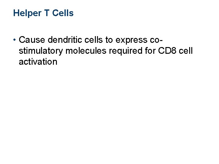 Helper T Cells • Cause dendritic cells to express costimulatory molecules required for CD Helper T Cells • Cause dendritic cells to express costimulatory molecules required for CD