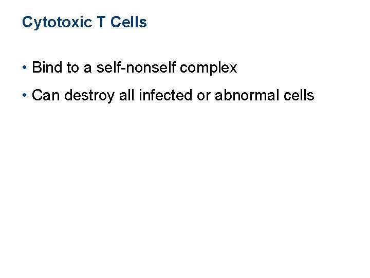 Cytotoxic T Cells • Bind to a self-nonself complex • Can destroy all infected Cytotoxic T Cells • Bind to a self-nonself complex • Can destroy all infected