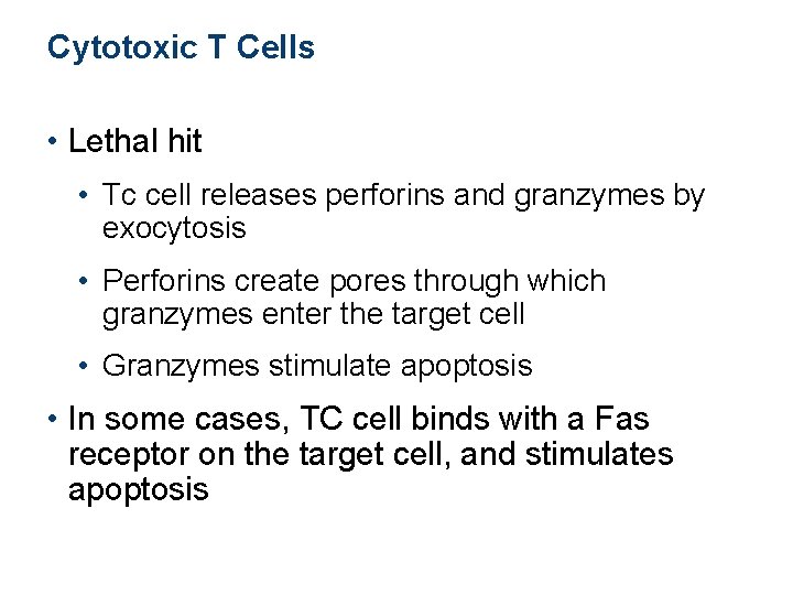 Cytotoxic T Cells • Lethal hit • Tc cell releases perforins and granzymes by Cytotoxic T Cells • Lethal hit • Tc cell releases perforins and granzymes by