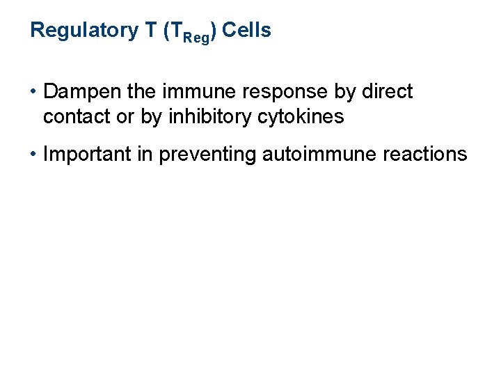 Regulatory T (TReg) Cells • Dampen the immune response by direct contact or by Regulatory T (TReg) Cells • Dampen the immune response by direct contact or by