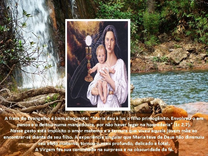 A frase do Evangelho é bem eloquente: “Maria deu à luz o filho primogênito.