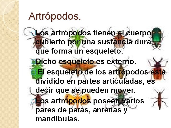 Artrópodos. �Los artrópodos tienen el cuerpo cubierto por una sustancia dura, que forma un