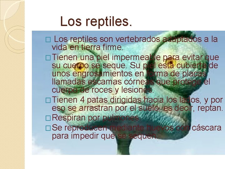Los reptiles son vertebrados adaptados a la vida en tierra firme. �Tienen una piel