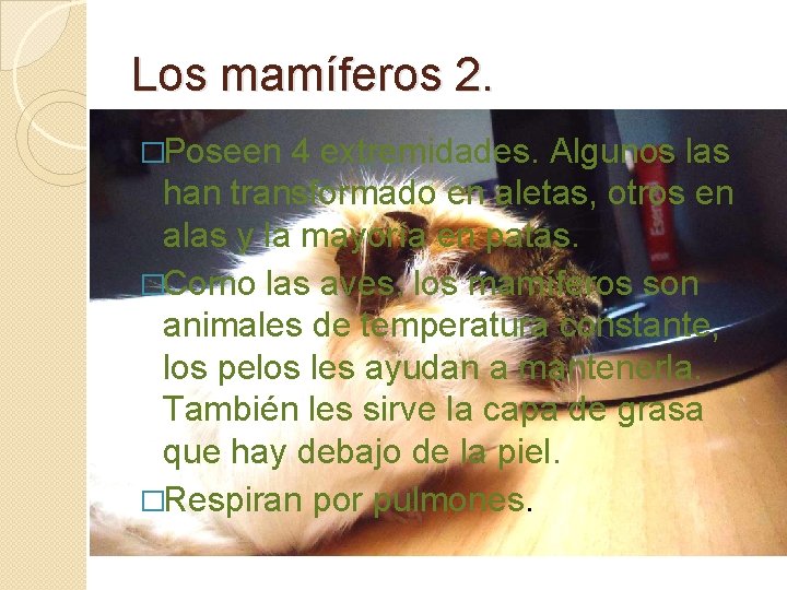 Los mamíferos 2. �Poseen 4 extremidades. Algunos las han transformado en aletas, otros en