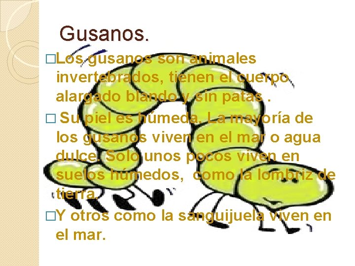 Gusanos. �Los gusanos son animales invertebrados, tienen el cuerpo alargado blando y sin patas.