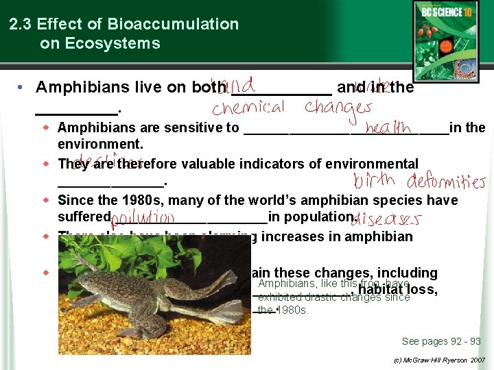2. 3 Effect of Bioaccumulation on Ecosystems • Amphibians live on both ______ and
