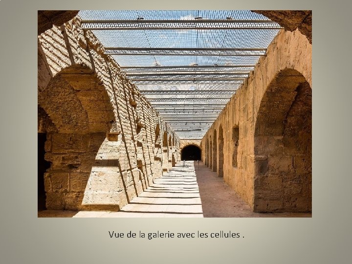 Vue de la galerie avec les cellules. 