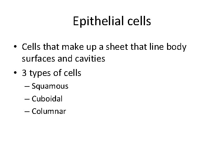 Epithelial cells • Cells that make up a sheet that line body surfaces and Epithelial cells • Cells that make up a sheet that line body surfaces and