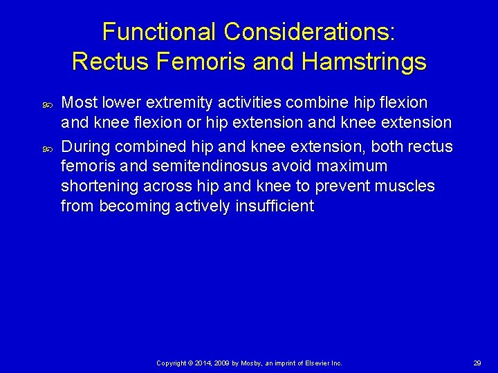 Functional Considerations: Rectus Femoris and Hamstrings Most lower extremity activities combine hip flexion and