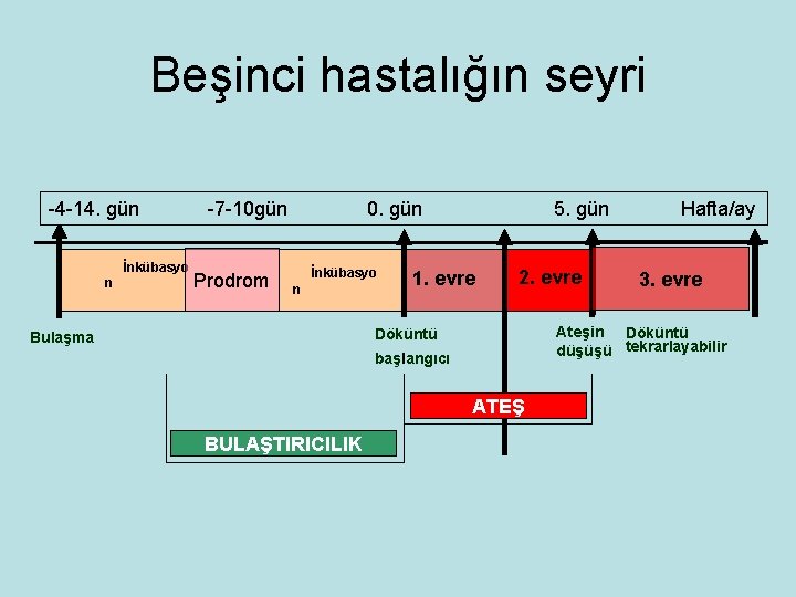 Beşinci hastalığın seyri -4 -14. gün İnkübasyo n -7 -10 gün Prodrom 0. gün