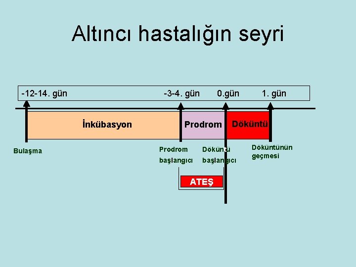 Altıncı hastalığın seyri -12 -14. gün -3 -4. gün İnkübasyon Bulaşma 0. gün Prodrom