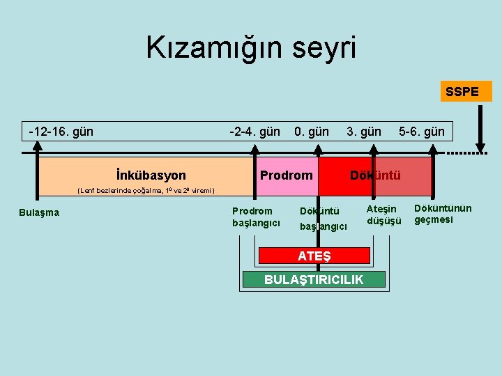 Kızamığın seyri SSPE -12 -16. gün -2 -4. gün İnkübasyon 0. gün 3. gün