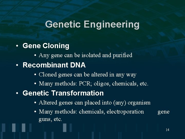 Genetic Engineering • Gene Cloning • Any gene can be isolated and purified •