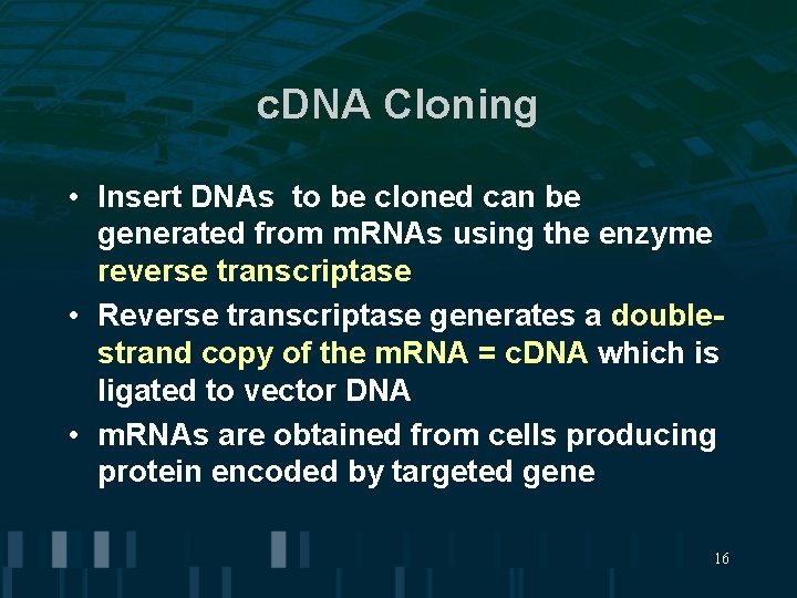 c. DNA Cloning • Insert DNAs to be cloned can be generated from m.