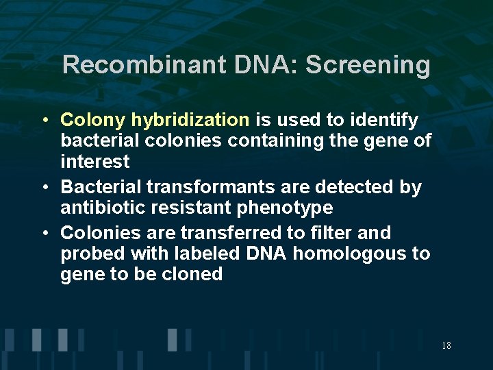 Recombinant DNA: Screening • Colony hybridization is used to identify bacterial colonies containing the