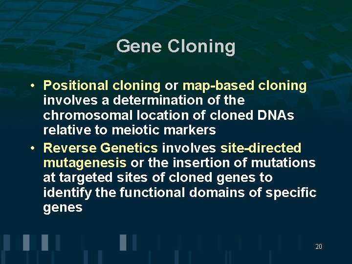 Gene Cloning • Positional cloning or map-based cloning involves a determination of the chromosomal