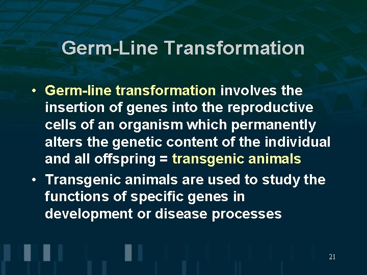 Germ-Line Transformation • Germ-line transformation involves the insertion of genes into the reproductive cells