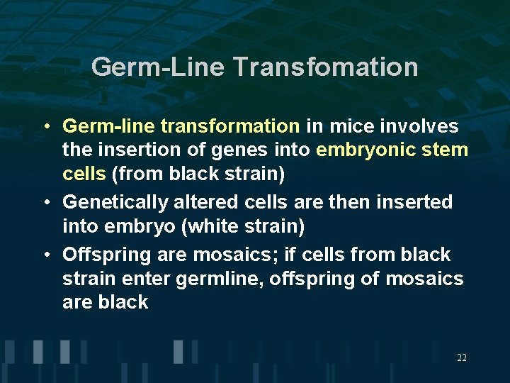 Germ-Line Transfomation • Germ-line transformation in mice involves the insertion of genes into embryonic