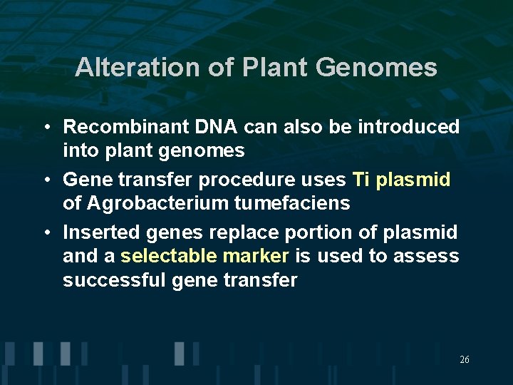 Alteration of Plant Genomes • Recombinant DNA can also be introduced into plant genomes