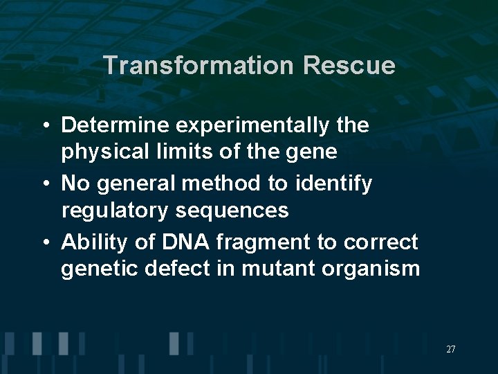 Transformation Rescue • Determine experimentally the physical limits of the gene • No general