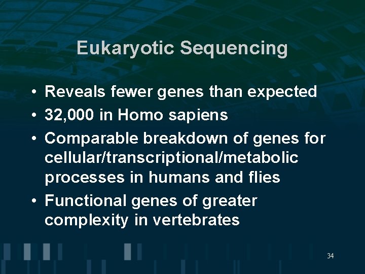 Eukaryotic Sequencing • Reveals fewer genes than expected • 32, 000 in Homo sapiens