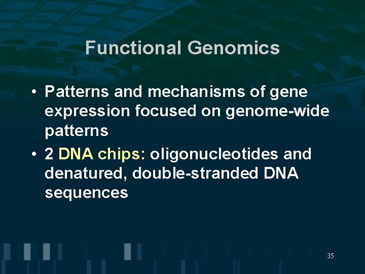 Functional Genomics • Patterns and mechanisms of gene expression focused on genome-wide patterns •
