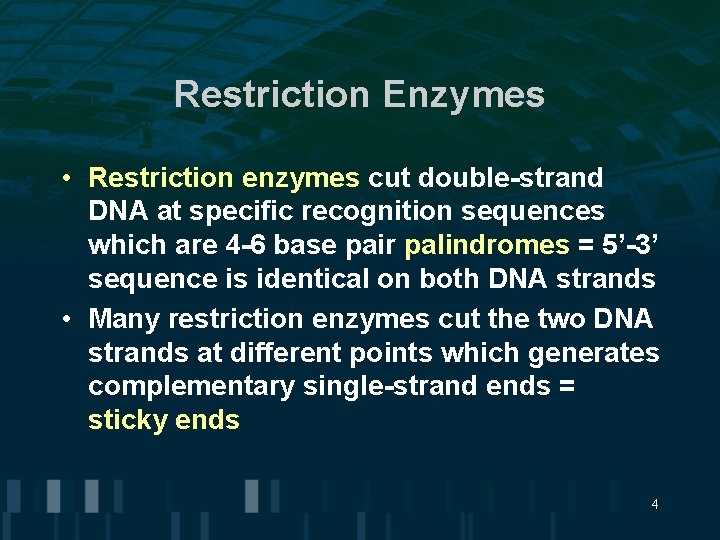 Restriction Enzymes • Restriction enzymes cut double-strand DNA at specific recognition sequences which are
