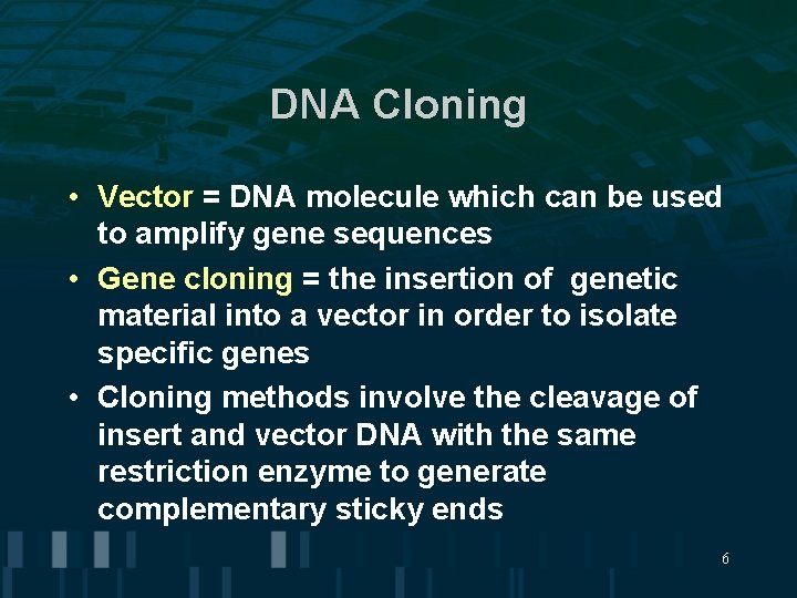 DNA Cloning • Vector = DNA molecule which can be used to amplify gene