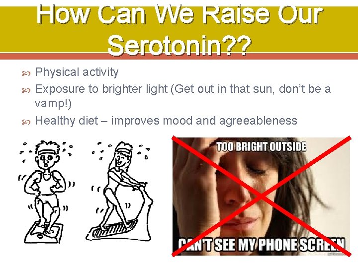 How Can We Raise Our Serotonin? ? Physical activity Exposure to brighter light (Get