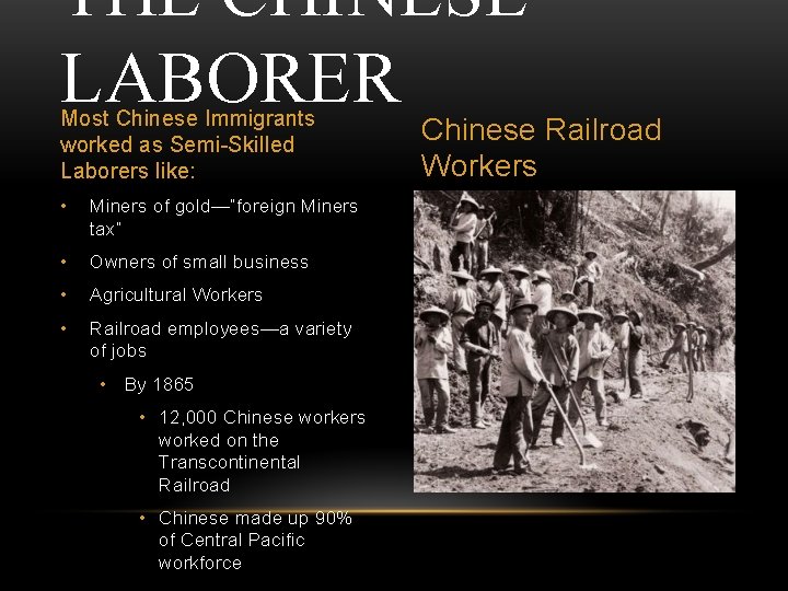 THE CHINESE LABORER Most Chinese Immigrants worked as Semi-Skilled Laborers like: • Miners of