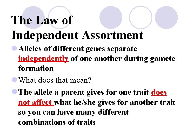 The Law of Independent Assortment l Alleles of different genes separate independently of one