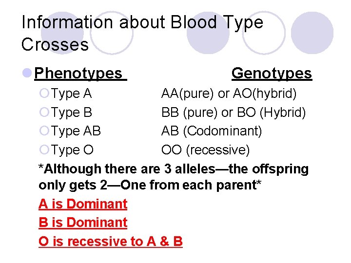 Information about Blood Type Crosses l Phenotypes Genotypes ¡Type A AA(pure) or AO(hybrid) ¡Type