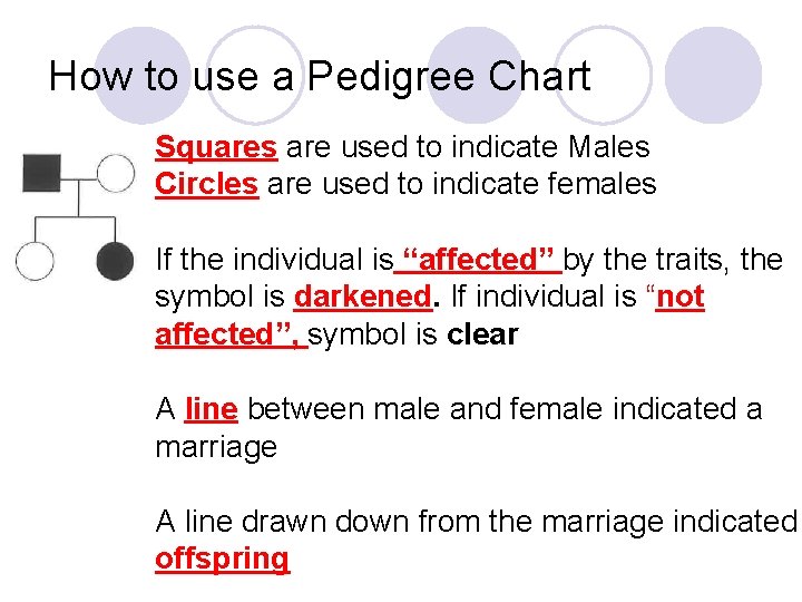 How to use a Pedigree Chart Squares are used to indicate Males Circles are