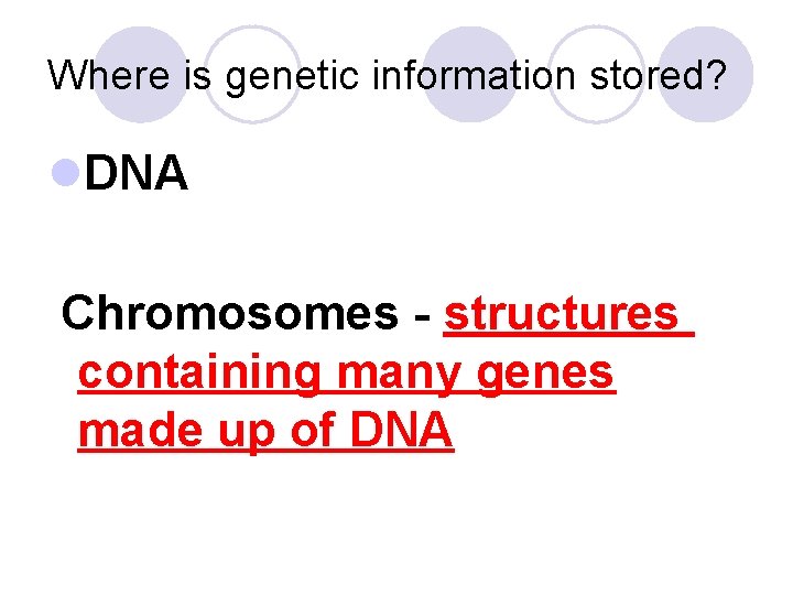 Where is genetic information stored? l. DNA Chromosomes - structures containing many genes made